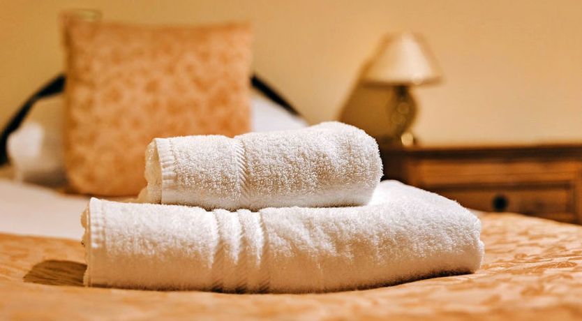 Photo of Netley Hall - Rose