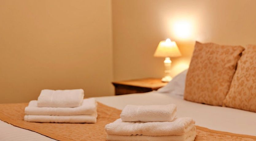 Photo of Netley Hall - Angelica