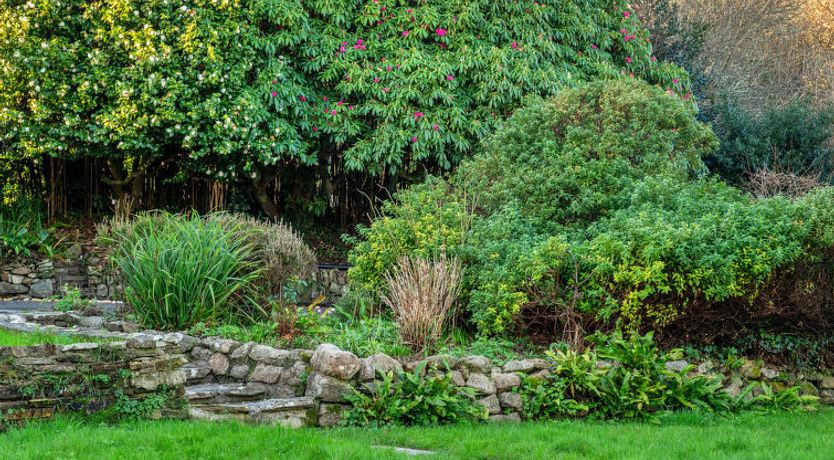 Photo of The Old Counting House