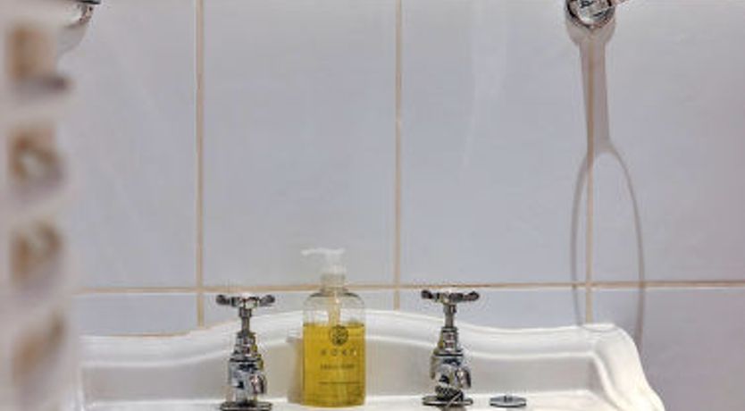 Photo of Netley Hall - Peach Tree