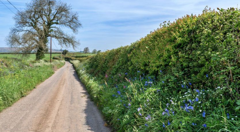 Photo of Cutkieve Farm Cottage