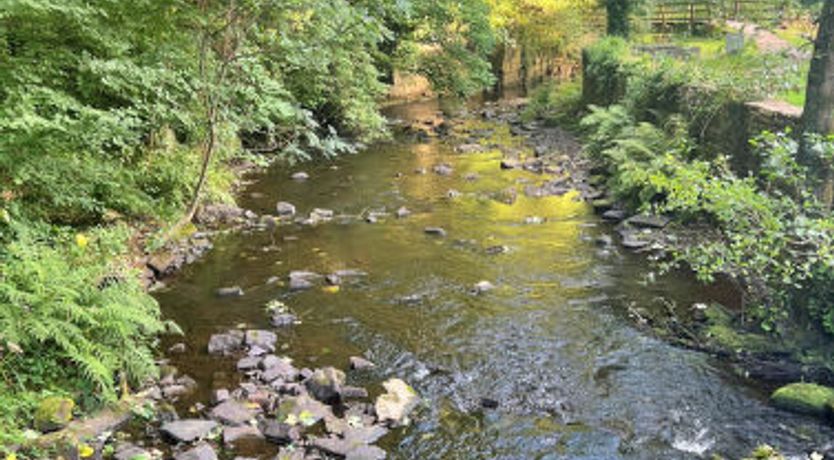 Photo of Suzy's Cottage