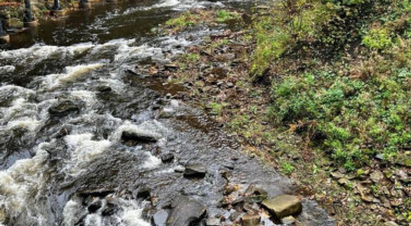 Photo of Suzy's Cottage