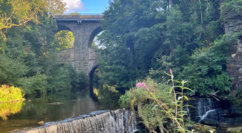 Photo of Suzy's Cottage