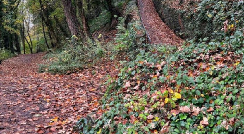 Photo of Suzy's Cottage