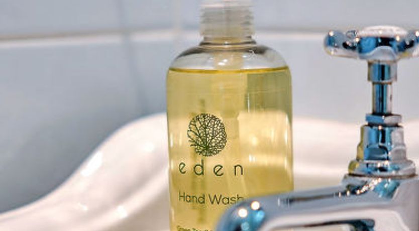 Photo of Netley Hall - Jasmine