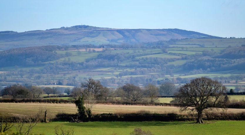 Photo of Walton Maisonette