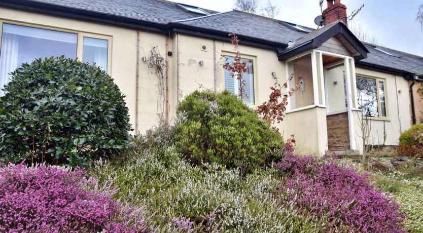 Photo of Heather Lea