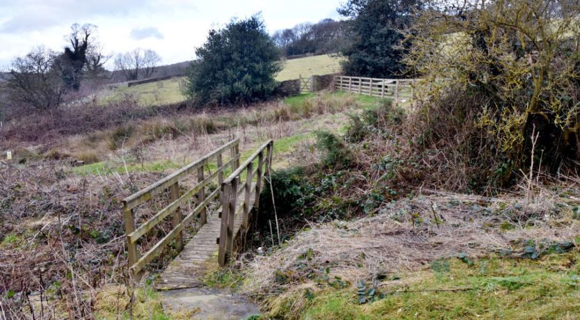 Photo of Heather Lea