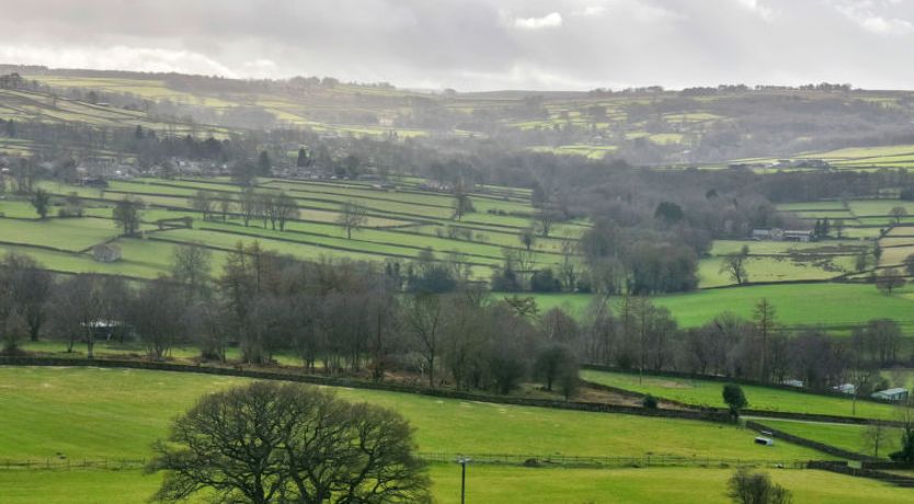 Photo of Heather Lea