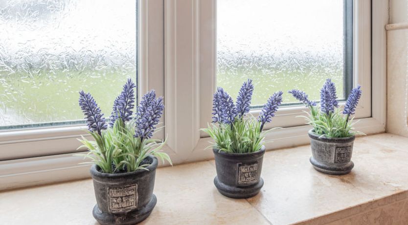 Photo of Groes Faen Bach Farmhouse