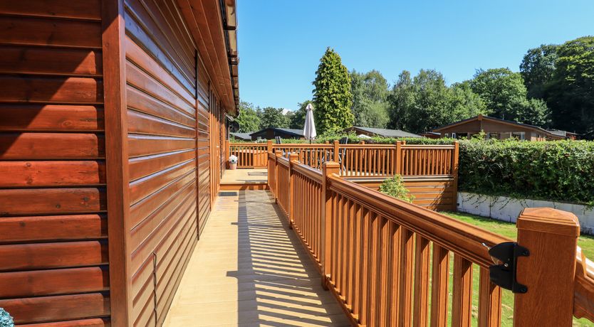 Photo of Robin's Nest