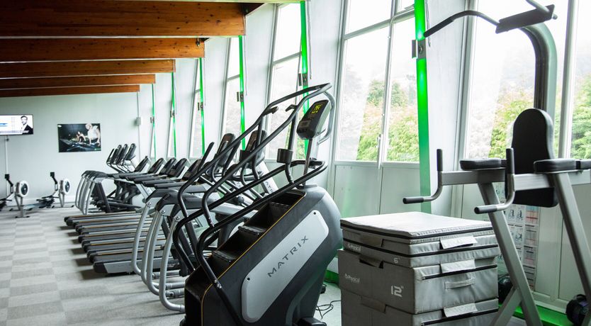 Photo of Squirrels Snug