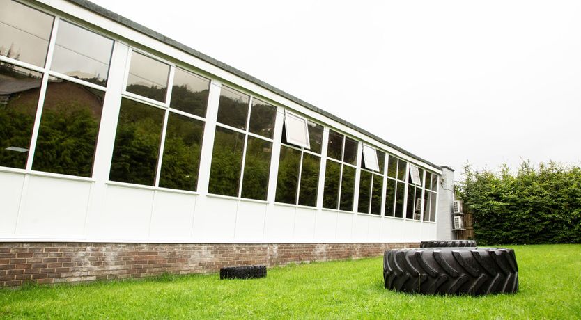 Photo of Squirrels Snug