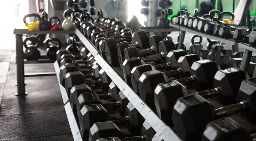 Photo of Squirrels Snug