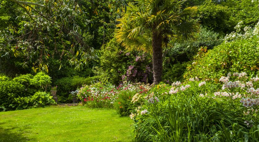 Photo of Chapel Knap, Porlock Weir