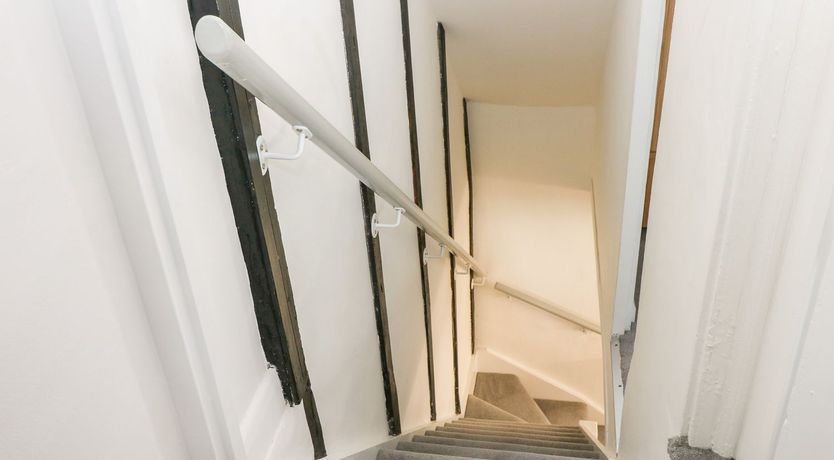 Photo of Fishing for Stars