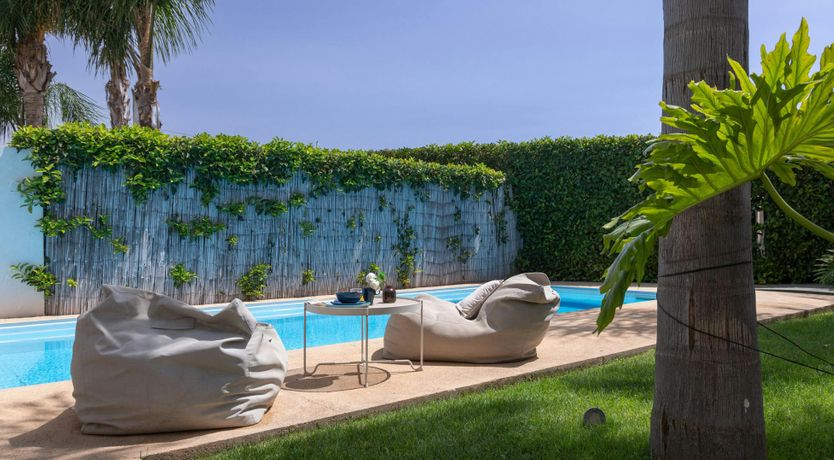 Photo of Stargazer's Paradise