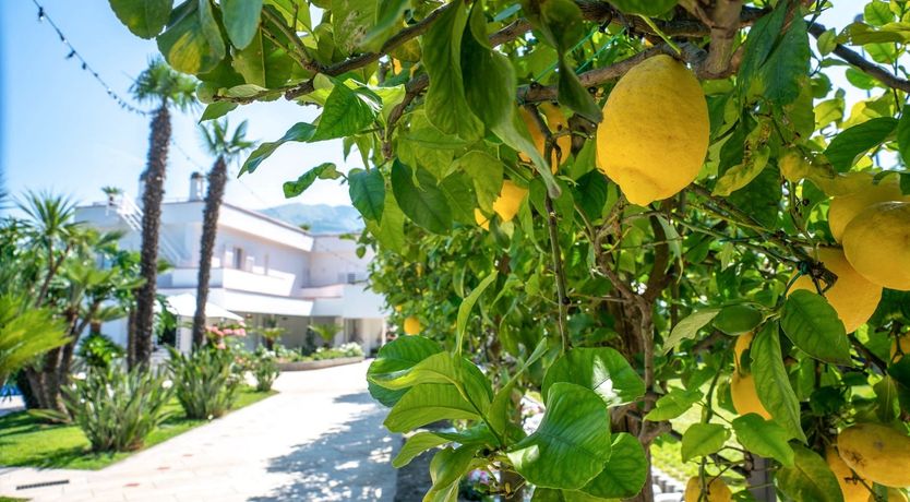 Photo of The Sorrento Pearl