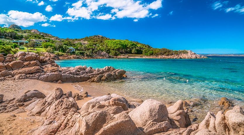 Photo of The Heart of One