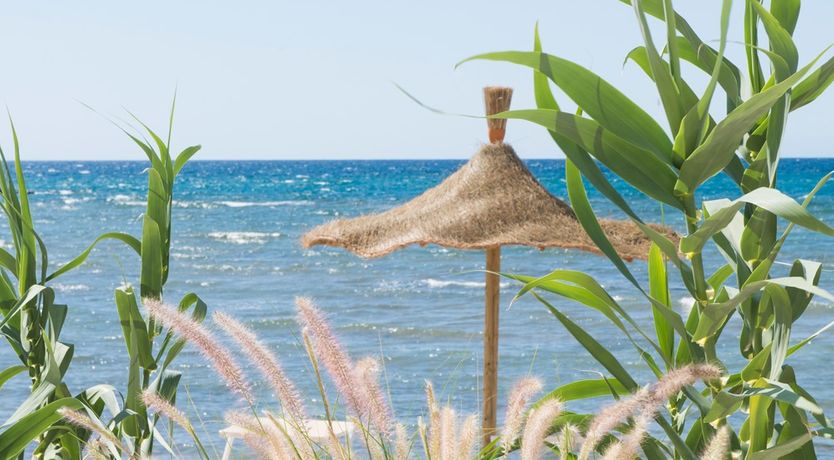 Photo of Ionian Garden