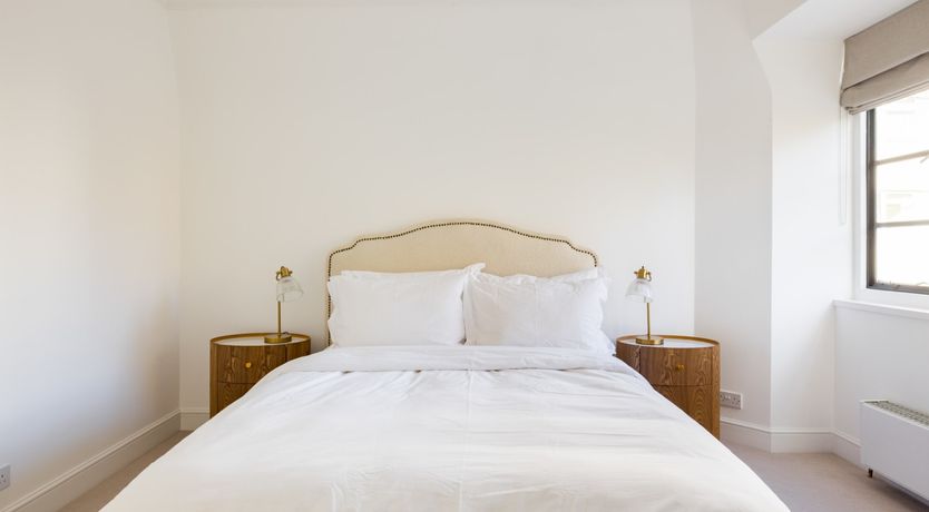 Photo of The Collared Dove