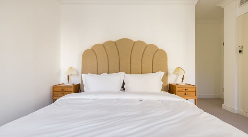 Photo of The Collared Dove