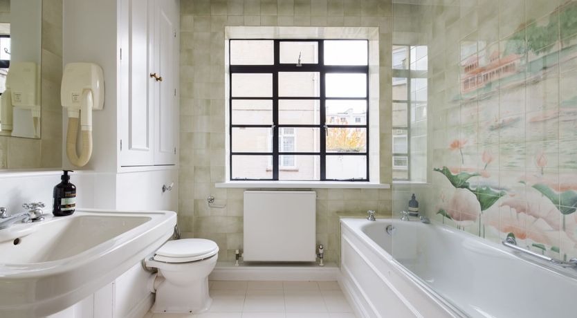 Photo of The Collared Dove