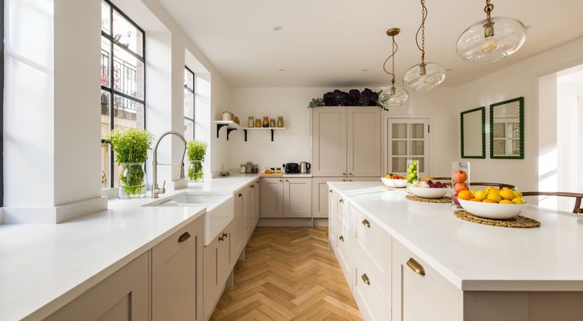 Photo of The Collared Dove