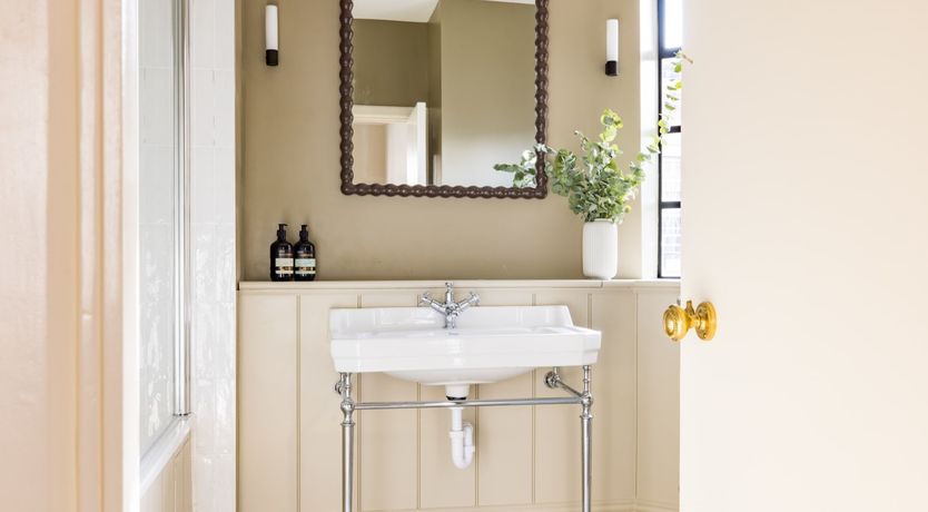 Photo of The Collared Dove