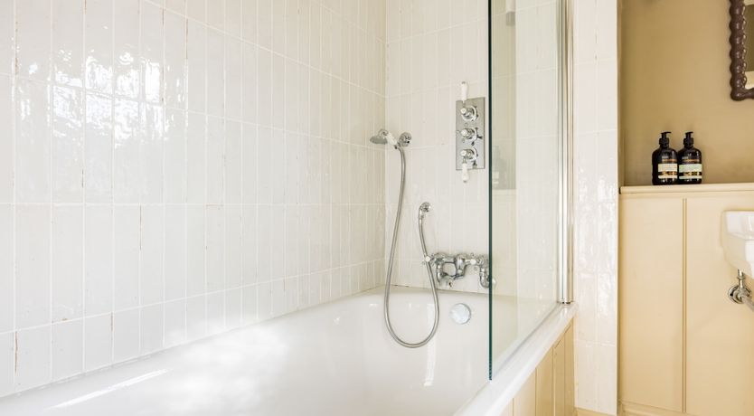 Photo of The Collared Dove