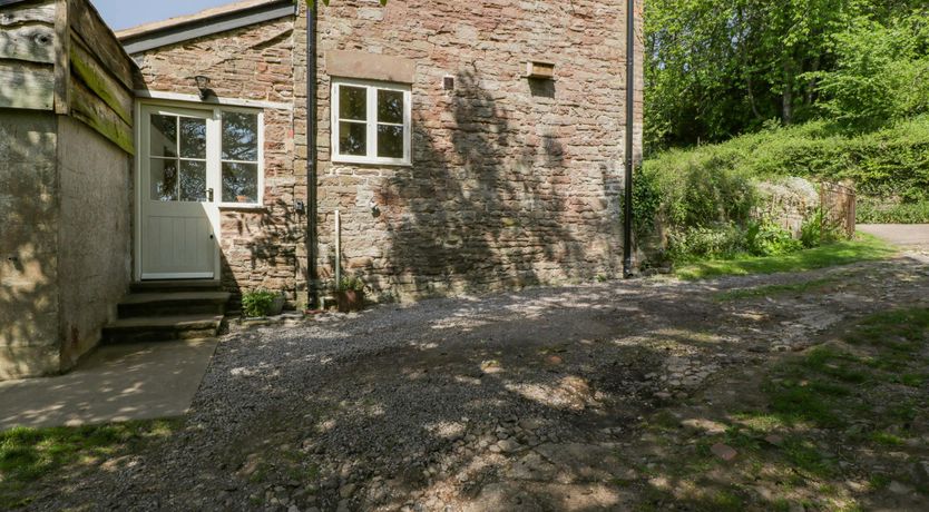 Photo of Forest Escape