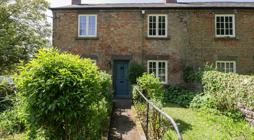 Photo of Forest Escape