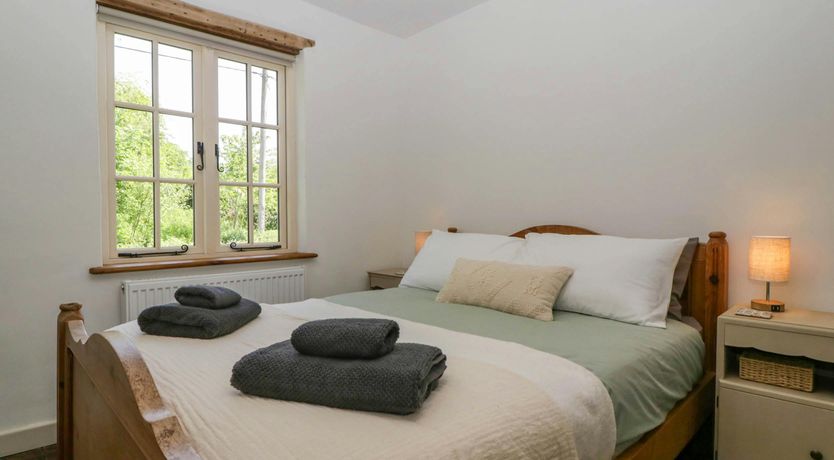 Photo of Forest Escape