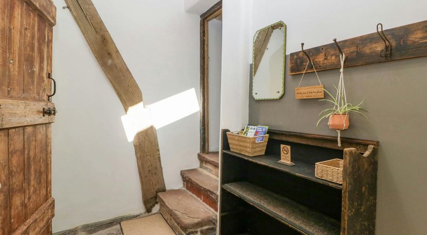 Photo of Forest Escape