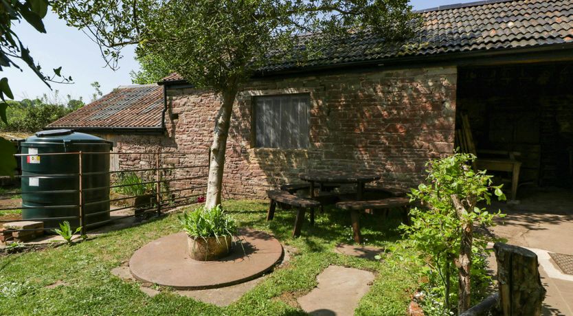 Photo of Forest Escape