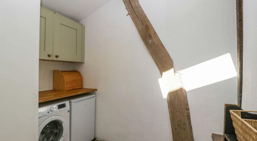 Photo of Forest Escape