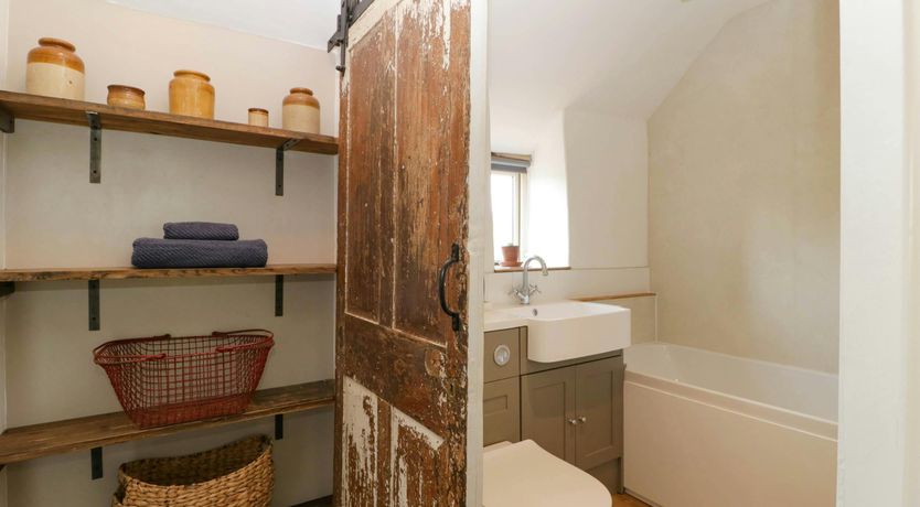 Photo of Forest Escape