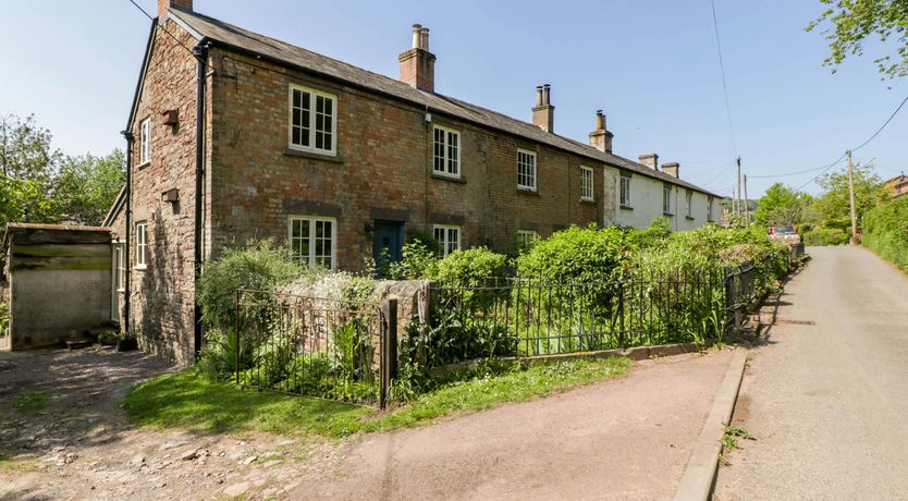 Photo of Forest Escape