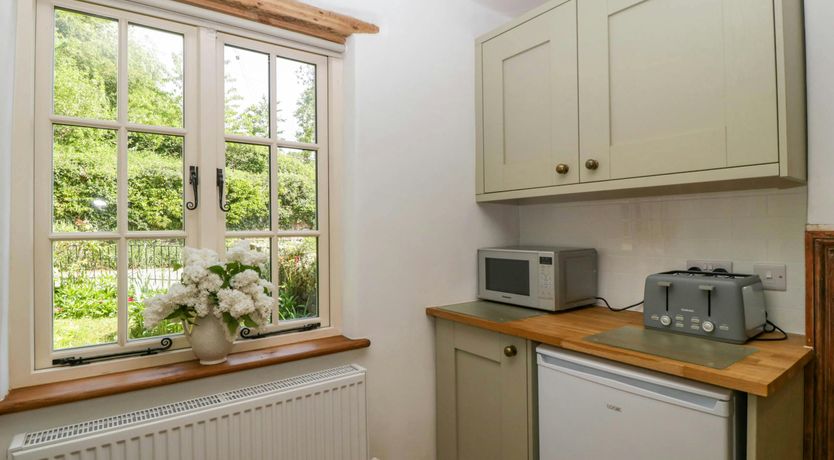 Photo of Forest Escape