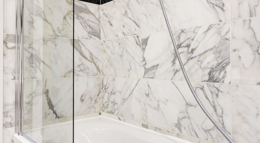 Photo of Milanese Memory