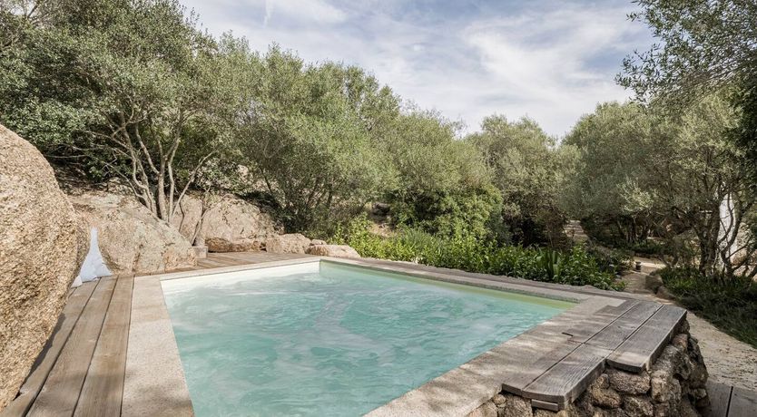 Photo of The Surprise