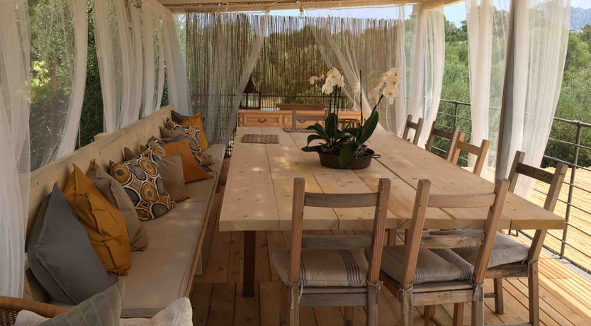 Photo of The Surprise