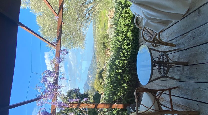 Photo of The Surprise