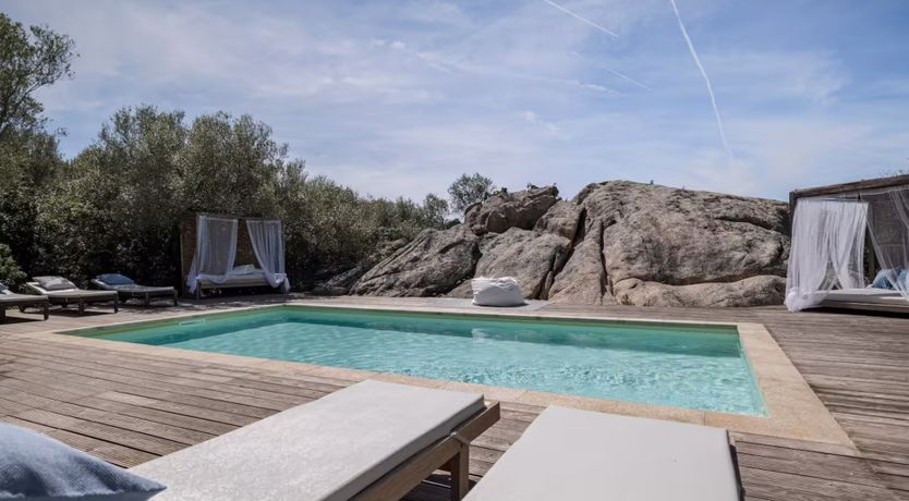 Photo of The Surprise