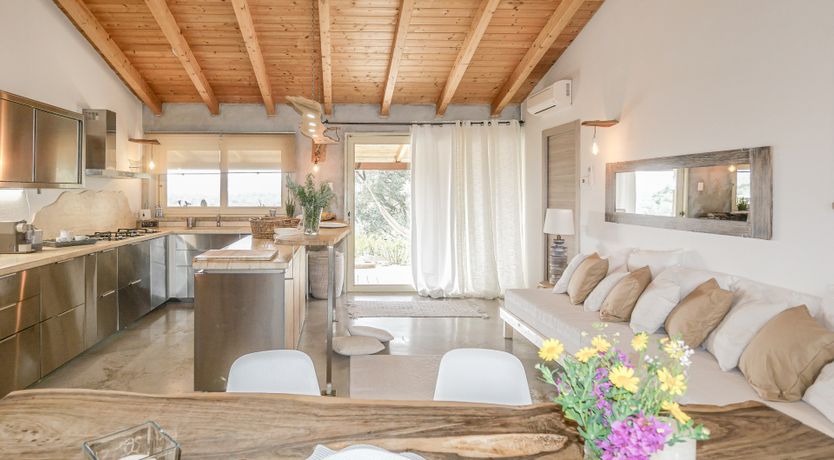 Photo of The Surprise