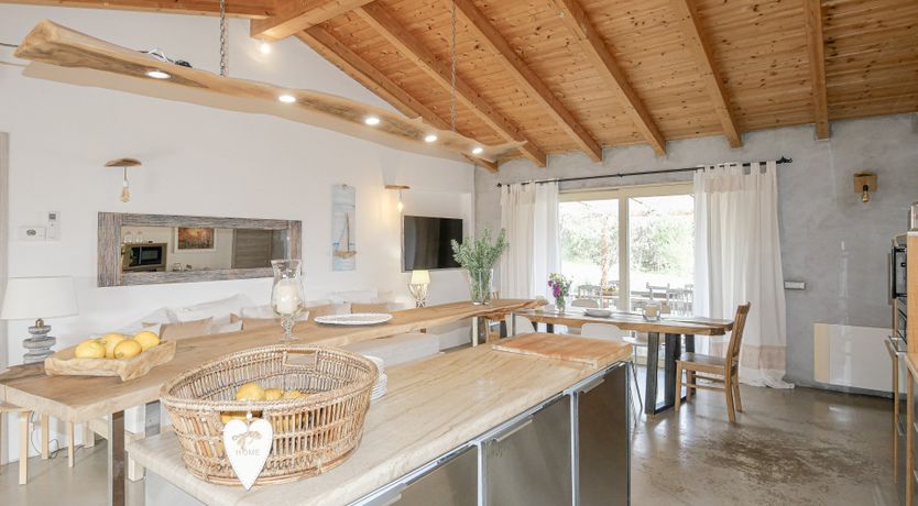 Photo of The Surprise