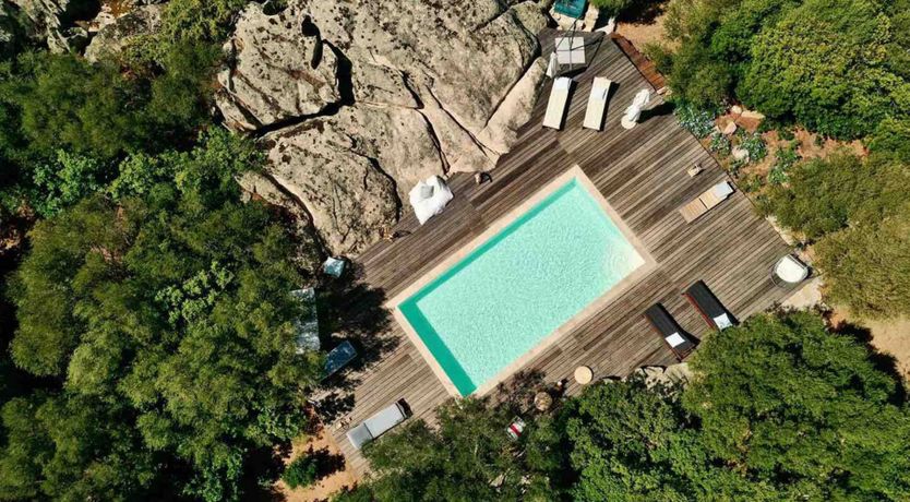 Photo of The Surprise