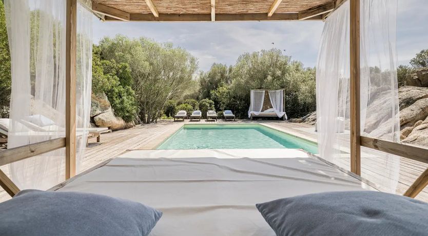 Photo of The Surprise