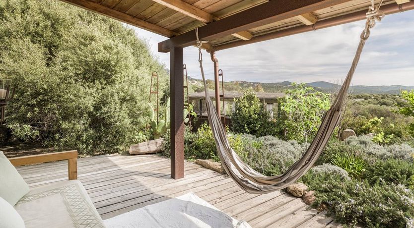 Photo of The Surprise